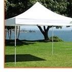 10 x 10 POP UP Tent 10 x 10 POP UP Tent