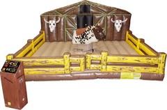 Chicago's Premier Mechanical Bull Chicago's Premier Mechanical Bull